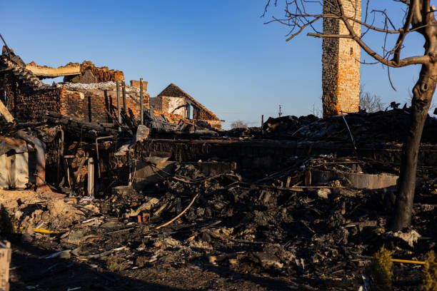 Reliable Fire Damage Removal contractor in Laurel, FL by Fire Damage Doption